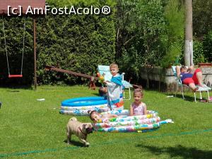 [P03] Distractie mare la piscina. » foto by bicaallin
 - 
<span class="allrVoted glyphicon glyphicon-heart hidden" id="av1177177"></span>
<a class="m-l-10 hidden" id="sv1177177" onclick="voting_Foto_DelVot(,1177177,20112)" role="button">șterge vot <span class="glyphicon glyphicon-remove"></span></a>
<a id="v91177177" class=" c-red"  onclick="voting_Foto_SetVot(1177177)" role="button"><span class="glyphicon glyphicon-heart-empty"></span> <b>LIKE</b> = Votează poza</a> <img class="hidden"  id="f1177177W9" src="/imagini/loader.gif" border="0" /><span class="AjErrMes hidden" id="e1177177ErM"></span>