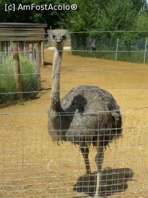 [P26] strut » foto by Silvia30*
 - 
<span class="allrVoted glyphicon glyphicon-heart hidden" id="av728175"></span>
<a class="m-l-10 hidden" id="sv728175" onclick="voting_Foto_DelVot(,728175,20144)" role="button">șterge vot <span class="glyphicon glyphicon-remove"></span></a>
<a id="v9728175" class=" c-red"  onclick="voting_Foto_SetVot(728175)" role="button"><span class="glyphicon glyphicon-heart-empty"></span> <b>LIKE</b> = Votează poza</a> <img class="hidden"  id="f728175W9" src="/imagini/loader.gif" border="0" /><span class="AjErrMes hidden" id="e728175ErM"></span>