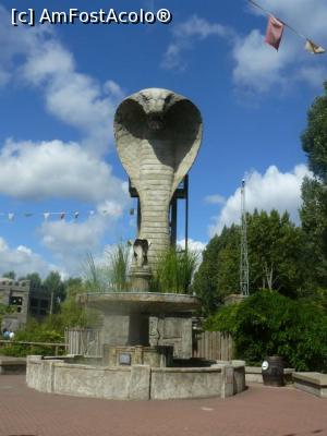 [P03] Cobra » foto by Silvia30*
 - 
<span class="allrVoted glyphicon glyphicon-heart hidden" id="av728152"></span>
<a class="m-l-10 hidden" id="sv728152" onclick="voting_Foto_DelVot(,728152,20144)" role="button">șterge vot <span class="glyphicon glyphicon-remove"></span></a>
<a id="v9728152" class=" c-red"  onclick="voting_Foto_SetVot(728152)" role="button"><span class="glyphicon glyphicon-heart-empty"></span> <b>LIKE</b> = Votează poza</a> <img class="hidden"  id="f728152W9" src="/imagini/loader.gif" border="0" /><span class="AjErrMes hidden" id="e728152ErM"></span>