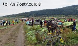 [P07] Locuitorii comunei Frumoasa recoltează în aceeaşi zi varza cultivată pe un teren de la marginea localităţii (7)  » foto by Lucien
 - 
<span class="allrVoted glyphicon glyphicon-heart hidden" id="av734896"></span>
<a class="m-l-10 hidden" id="sv734896" onclick="voting_Foto_DelVot(,734896,20160)" role="button">șterge vot <span class="glyphicon glyphicon-remove"></span></a>
<a id="v9734896" class=" c-red"  onclick="voting_Foto_SetVot(734896)" role="button"><span class="glyphicon glyphicon-heart-empty"></span> <b>LIKE</b> = Votează poza</a> <img class="hidden"  id="f734896W9" src="/imagini/loader.gif" border="0" /><span class="AjErrMes hidden" id="e734896ErM"></span>