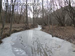 [P16] Satul V. Zălanului. Râul din fața proprietății Prințului Charles » foto by ebirsan
 - 
<span class="allrVoted glyphicon glyphicon-heart hidden" id="av729678"></span>
<a class="m-l-10 hidden" id="sv729678" onclick="voting_Foto_DelVot(,729678,20162)" role="button">șterge vot <span class="glyphicon glyphicon-remove"></span></a>
<a id="v9729678" class=" c-red"  onclick="voting_Foto_SetVot(729678)" role="button"><span class="glyphicon glyphicon-heart-empty"></span> <b>LIKE</b> = Votează poza</a> <img class="hidden"  id="f729678W9" src="/imagini/loader.gif" border="0" /><span class="AjErrMes hidden" id="e729678ErM"></span>
