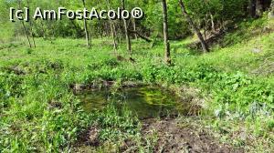 [P07] Detaliu cu ”Baia de picioare” așa cum era în 2015. Urmează probabil să fie refăcută.  » foto by Lucien
 - 
<span class="allrVoted glyphicon glyphicon-heart hidden" id="av790392"></span>
<a class="m-l-10 hidden" id="sv790392" onclick="voting_Foto_DelVot(,790392,20162)" role="button">șterge vot <span class="glyphicon glyphicon-remove"></span></a>
<a id="v9790392" class=" c-red"  onclick="voting_Foto_SetVot(790392)" role="button"><span class="glyphicon glyphicon-heart-empty"></span> <b>LIKE</b> = Votează poza</a> <img class="hidden"  id="f790392W9" src="/imagini/loader.gif" border="0" /><span class="AjErrMes hidden" id="e790392ErM"></span>
