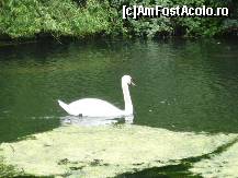 [P62] St. James's Park » foto by Dragoș_MD
 - 
<span class="allrVoted glyphicon glyphicon-heart hidden" id="av207967"></span>
<a class="m-l-10 hidden" id="sv207967" onclick="voting_Foto_DelVot(,207967,20168)" role="button">șterge vot <span class="glyphicon glyphicon-remove"></span></a>
<a id="v9207967" class=" c-red"  onclick="voting_Foto_SetVot(207967)" role="button"><span class="glyphicon glyphicon-heart-empty"></span> <b>LIKE</b> = Votează poza</a> <img class="hidden"  id="f207967W9" src="/imagini/loader.gif" border="0" /><span class="AjErrMes hidden" id="e207967ErM"></span>
