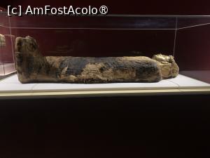 [P50] Hurghada Muzeum,despre Egiptul antic » foto by AZE
 - 
<span class="allrVoted glyphicon glyphicon-heart hidden" id="av1418848"></span>
<a class="m-l-10 hidden" id="sv1418848" onclick="voting_Foto_DelVot(,1418848,20178)" role="button">șterge vot <span class="glyphicon glyphicon-remove"></span></a>
<a id="v91418848" class=" c-red"  onclick="voting_Foto_SetVot(1418848)" role="button"><span class="glyphicon glyphicon-heart-empty"></span> <b>LIKE</b> = Votează poza</a> <img class="hidden"  id="f1418848W9" src="/imagini/loader.gif" border="0" /><span class="AjErrMes hidden" id="e1418848ErM"></span>