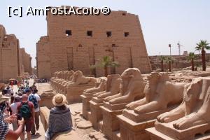 [P03] LUXOR » foto by viorica
 - 
<span class="allrVoted glyphicon glyphicon-heart hidden" id="av1074813"></span>
<a class="m-l-10 hidden" id="sv1074813" onclick="voting_Foto_DelVot(,1074813,20178)" role="button">șterge vot <span class="glyphicon glyphicon-remove"></span></a>
<a id="v91074813" class=" c-red"  onclick="voting_Foto_SetVot(1074813)" role="button"><span class="glyphicon glyphicon-heart-empty"></span> <b>LIKE</b> = Votează poza</a> <img class="hidden"  id="f1074813W9" src="/imagini/loader.gif" border="0" /><span class="AjErrMes hidden" id="e1074813ErM"></span>