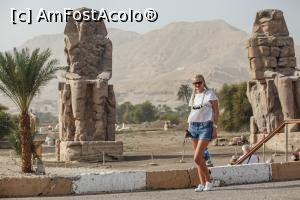 [P11] Coloșii lui Memnon - Luxor » foto by Alina Roxana
 - 
<span class="allrVoted glyphicon glyphicon-heart hidden" id="av1047432"></span>
<a class="m-l-10 hidden" id="sv1047432" onclick="voting_Foto_DelVot(,1047432,20178)" role="button">șterge vot <span class="glyphicon glyphicon-remove"></span></a>
<a id="v91047432" class=" c-red"  onclick="voting_Foto_SetVot(1047432)" role="button"><span class="glyphicon glyphicon-heart-empty"></span> <b>LIKE</b> = Votează poza</a> <img class="hidden"  id="f1047432W9" src="/imagini/loader.gif" border="0" /><span class="AjErrMes hidden" id="e1047432ErM"></span>