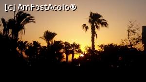 [P03] Primul rasarit de soare, avem camera cu " sun rise view" , marea e aproape dar nu se vede din cauza unui frumos parc cu palmieri » foto by dorgo
 - 
<span class="allrVoted glyphicon glyphicon-heart hidden" id="av1071927"></span>
<a class="m-l-10 hidden" id="sv1071927" onclick="voting_Foto_DelVot(,1071927,20178)" role="button">șterge vot <span class="glyphicon glyphicon-remove"></span></a>
<a id="v91071927" class=" c-red"  onclick="voting_Foto_SetVot(1071927)" role="button"><span class="glyphicon glyphicon-heart-empty"></span> <b>LIKE</b> = Votează poza</a> <img class="hidden"  id="f1071927W9" src="/imagini/loader.gif" border="0" /><span class="AjErrMes hidden" id="e1071927ErM"></span>