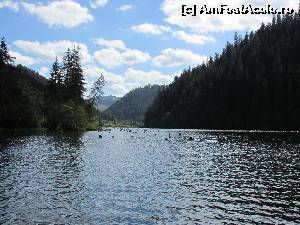 [P10]  -- <small>// FĂRĂ DESCRIERE</small> » foto by Testosu'
 - 
<span class="allrVoted glyphicon glyphicon-heart hidden" id="av561770"></span>
<a class="m-l-10 hidden" id="sv561770" onclick="voting_Foto_DelVot(,561770,20181)" role="button">șterge vot <span class="glyphicon glyphicon-remove"></span></a>
<a id="v9561770" class=" c-red"  onclick="voting_Foto_SetVot(561770)" role="button"><span class="glyphicon glyphicon-heart-empty"></span> <b>LIKE</b> = Votează poza</a> <img class="hidden"  id="f561770W9" src="/imagini/loader.gif" border="0" /><span class="AjErrMes hidden" id="e561770ErM"></span>