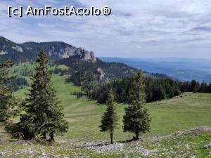 [P23] Drumeție spre Vârful Hășmașul Mare (1792 metri) și Piatra Singuratică (1504 metri) din M-ții Harghitei » foto by Dana2008
 - 
<span class="allrVoted glyphicon glyphicon-heart hidden" id="av1174238"></span>
<a class="m-l-10 hidden" id="sv1174238" onclick="voting_Foto_DelVot(,1174238,20181)" role="button">șterge vot <span class="glyphicon glyphicon-remove"></span></a>
<a id="v91174238" class=" c-red"  onclick="voting_Foto_SetVot(1174238)" role="button"><span class="glyphicon glyphicon-heart-empty"></span> <b>LIKE</b> = Votează poza</a> <img class="hidden"  id="f1174238W9" src="/imagini/loader.gif" border="0" /><span class="AjErrMes hidden" id="e1174238ErM"></span>