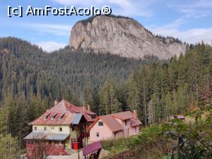 [P33] Circuit Vârful Piatra Ghilcoș (1376 metri) din Lacul Roșu -Traseul turistic “Belvedere Ghilcoș”

Vila Hășmașu Mare, locul nostru de sosire » foto by Dana2008
 - 
<span class="allrVoted glyphicon glyphicon-heart hidden" id="av1202999"></span>
<a class="m-l-10 hidden" id="sv1202999" onclick="voting_Foto_DelVot(,1202999,20181)" role="button">șterge vot <span class="glyphicon glyphicon-remove"></span></a>
<a id="v91202999" class=" c-red"  onclick="voting_Foto_SetVot(1202999)" role="button"><span class="glyphicon glyphicon-heart-empty"></span> <b>LIKE</b> = Votează poza</a> <img class="hidden"  id="f1202999W9" src="/imagini/loader.gif" border="0" /><span class="AjErrMes hidden" id="e1202999ErM"></span>