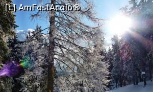 [P10] Fantasmele iernii pe poteca ce urcă la Piatra Singuratică.  » foto by Lucien
 - 
<span class="allrVoted glyphicon glyphicon-heart hidden" id="av779995"></span>
<a class="m-l-10 hidden" id="sv779995" onclick="voting_Foto_DelVot(,779995,20181)" role="button">șterge vot <span class="glyphicon glyphicon-remove"></span></a>
<a id="v9779995" class=" c-red"  onclick="voting_Foto_SetVot(779995)" role="button"><span class="glyphicon glyphicon-heart-empty"></span> <b>LIKE</b> = Votează poza</a> <img class="hidden"  id="f779995W9" src="/imagini/loader.gif" border="0" /><span class="AjErrMes hidden" id="e779995ErM"></span>