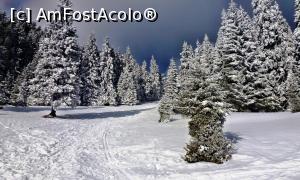 [P30] Pârtia de schi de sub cabana Piatra Singuratică, situată pe traseul principal de acces la cabană » foto by Lucien
 - 
<span class="allrVoted glyphicon glyphicon-heart hidden" id="av780015"></span>
<a class="m-l-10 hidden" id="sv780015" onclick="voting_Foto_DelVot(,780015,20181)" role="button">șterge vot <span class="glyphicon glyphicon-remove"></span></a>
<a id="v9780015" class=" c-red"  onclick="voting_Foto_SetVot(780015)" role="button"><span class="glyphicon glyphicon-heart-empty"></span> <b>LIKE</b> = Votează poza</a> <img class="hidden"  id="f780015W9" src="/imagini/loader.gif" border="0" /><span class="AjErrMes hidden" id="e780015ErM"></span>
