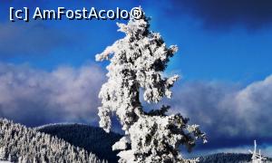 [P32] Poveste fantastică de iarnă la Piatra Singuratică » foto by Lucien
 - 
<span class="allrVoted glyphicon glyphicon-heart hidden" id="av780019"></span>
<a class="m-l-10 hidden" id="sv780019" onclick="voting_Foto_DelVot(,780019,20181)" role="button">șterge vot <span class="glyphicon glyphicon-remove"></span></a>
<a id="v9780019" class=" c-red"  onclick="voting_Foto_SetVot(780019)" role="button"><span class="glyphicon glyphicon-heart-empty"></span> <b>LIKE</b> = Votează poza</a> <img class="hidden"  id="f780019W9" src="/imagini/loader.gif" border="0" /><span class="AjErrMes hidden" id="e780019ErM"></span>