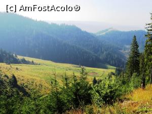 [P41] Peisaj ciobănesc spre valea Oltului în timpul urcării spre Piatra Singuratică » foto by Lucien
 - 
<span class="allrVoted glyphicon glyphicon-heart hidden" id="av780032"></span>
<a class="m-l-10 hidden" id="sv780032" onclick="voting_Foto_DelVot(,780032,20181)" role="button">șterge vot <span class="glyphicon glyphicon-remove"></span></a>
<a id="v9780032" class=" c-red"  onclick="voting_Foto_SetVot(780032)" role="button"><span class="glyphicon glyphicon-heart-empty"></span> <b>LIKE</b> = Votează poza</a> <img class="hidden"  id="f780032W9" src="/imagini/loader.gif" border="0" /><span class="AjErrMes hidden" id="e780032ErM"></span>