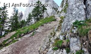 [P55] Detaliu din segmentul median al ascensiunii pe Piatra Singuratică.  » foto by Lucien
 - 
<span class="allrVoted glyphicon glyphicon-heart hidden" id="av780046"></span>
<a class="m-l-10 hidden" id="sv780046" onclick="voting_Foto_DelVot(,780046,20181)" role="button">șterge vot <span class="glyphicon glyphicon-remove"></span></a>
<a id="v9780046" class=" c-red"  onclick="voting_Foto_SetVot(780046)" role="button"><span class="glyphicon glyphicon-heart-empty"></span> <b>LIKE</b> = Votează poza</a> <img class="hidden"  id="f780046W9" src="/imagini/loader.gif" border="0" /><span class="AjErrMes hidden" id="e780046ErM"></span>