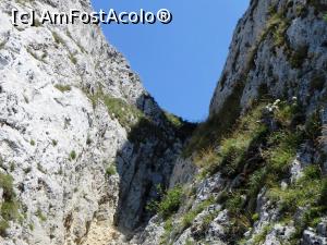 [P59] Şaua dintre stânci care marchează sfârşitul segmentului median al ascensiunii pe Piatra Singuratică. De aici încolo sunt necesare abilităţi de escaladă pebntru a urca pe lângă cablu pe vârful Pietrei.  » foto by Lucien
 - 
<span class="allrVoted glyphicon glyphicon-heart hidden" id="av780050"></span>
<a class="m-l-10 hidden" id="sv780050" onclick="voting_Foto_DelVot(,780050,20181)" role="button">șterge vot <span class="glyphicon glyphicon-remove"></span></a>
<a id="v9780050" class=" c-red"  onclick="voting_Foto_SetVot(780050)" role="button"><span class="glyphicon glyphicon-heart-empty"></span> <b>LIKE</b> = Votează poza</a> <img class="hidden"  id="f780050W9" src="/imagini/loader.gif" border="0" /><span class="AjErrMes hidden" id="e780050ErM"></span>
