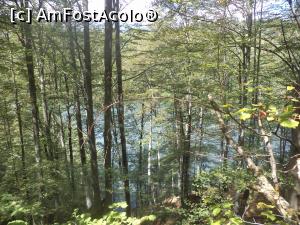 [P11] Lacul Valea de Pesti vazut printre copaci » foto by mogly
 - 
<span class="allrVoted glyphicon glyphicon-heart hidden" id="av770841"></span>
<a class="m-l-10 hidden" id="sv770841" onclick="voting_Foto_DelVot(,770841,20184)" role="button">șterge vot <span class="glyphicon glyphicon-remove"></span></a>
<a id="v9770841" class=" c-red"  onclick="voting_Foto_SetVot(770841)" role="button"><span class="glyphicon glyphicon-heart-empty"></span> <b>LIKE</b> = Votează poza</a> <img class="hidden"  id="f770841W9" src="/imagini/loader.gif" border="0" /><span class="AjErrMes hidden" id="e770841ErM"></span>