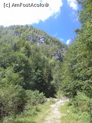 [P17] Peisaj din Cheile Butii » foto by mogly
 - 
<span class="allrVoted glyphicon glyphicon-heart hidden" id="av770854"></span>
<a class="m-l-10 hidden" id="sv770854" onclick="voting_Foto_DelVot(,770854,20184)" role="button">șterge vot <span class="glyphicon glyphicon-remove"></span></a>
<a id="v9770854" class=" c-red"  onclick="voting_Foto_SetVot(770854)" role="button"><span class="glyphicon glyphicon-heart-empty"></span> <b>LIKE</b> = Votează poza</a> <img class="hidden"  id="f770854W9" src="/imagini/loader.gif" border="0" /><span class="AjErrMes hidden" id="e770854ErM"></span>