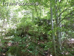 [P33] Peisaj in Cheile Butii » foto by mogly
 - 
<span class="allrVoted glyphicon glyphicon-heart hidden" id="av771294"></span>
<a class="m-l-10 hidden" id="sv771294" onclick="voting_Foto_DelVot(,771294,20184)" role="button">șterge vot <span class="glyphicon glyphicon-remove"></span></a>
<a id="v9771294" class=" c-red"  onclick="voting_Foto_SetVot(771294)" role="button"><span class="glyphicon glyphicon-heart-empty"></span> <b>LIKE</b> = Votează poza</a> <img class="hidden"  id="f771294W9" src="/imagini/loader.gif" border="0" /><span class="AjErrMes hidden" id="e771294ErM"></span>