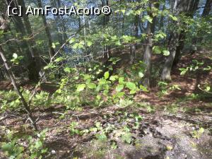 [P37] Lacul Valea de Pesti » foto by mogly
 - 
<span class="allrVoted glyphicon glyphicon-heart hidden" id="av771298"></span>
<a class="m-l-10 hidden" id="sv771298" onclick="voting_Foto_DelVot(,771298,20184)" role="button">șterge vot <span class="glyphicon glyphicon-remove"></span></a>
<a id="v9771298" class=" c-red"  onclick="voting_Foto_SetVot(771298)" role="button"><span class="glyphicon glyphicon-heart-empty"></span> <b>LIKE</b> = Votează poza</a> <img class="hidden"  id="f771298W9" src="/imagini/loader.gif" border="0" /><span class="AjErrMes hidden" id="e771298ErM"></span>