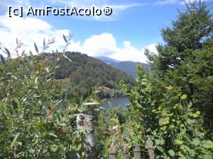 [P38] Si din nou Lacul Valea de Pesti!  » foto by mogly
 - 
<span class="allrVoted glyphicon glyphicon-heart hidden" id="av771299"></span>
<a class="m-l-10 hidden" id="sv771299" onclick="voting_Foto_DelVot(,771299,20184)" role="button">șterge vot <span class="glyphicon glyphicon-remove"></span></a>
<a id="v9771299" class=" c-red"  onclick="voting_Foto_SetVot(771299)" role="button"><span class="glyphicon glyphicon-heart-empty"></span> <b>LIKE</b> = Votează poza</a> <img class="hidden"  id="f771299W9" src="/imagini/loader.gif" border="0" /><span class="AjErrMes hidden" id="e771299ErM"></span>