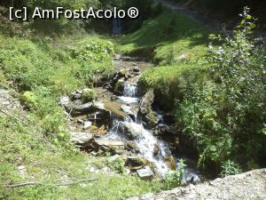 [P08] Parau in Valea de Pesti » foto by mogly
 - 
<span class="allrVoted glyphicon glyphicon-heart hidden" id="av770838"></span>
<a class="m-l-10 hidden" id="sv770838" onclick="voting_Foto_DelVot(,770838,20184)" role="button">șterge vot <span class="glyphicon glyphicon-remove"></span></a>
<a id="v9770838" class=" c-red"  onclick="voting_Foto_SetVot(770838)" role="button"><span class="glyphicon glyphicon-heart-empty"></span> <b>LIKE</b> = Votează poza</a> <img class="hidden"  id="f770838W9" src="/imagini/loader.gif" border="0" /><span class="AjErrMes hidden" id="e770838ErM"></span>