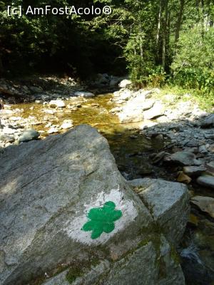 [P13] Pornim spre Cascada Mării. » foto by tata123 🔱
 - 
<span class="allrVoted glyphicon glyphicon-heart hidden" id="av1259651"></span>
<a class="m-l-10 hidden" id="sv1259651" onclick="voting_Foto_DelVot(,1259651,20184)" role="button">șterge vot <span class="glyphicon glyphicon-remove"></span></a>
<a id="v91259651" class=" c-red"  onclick="voting_Foto_SetVot(1259651)" role="button"><span class="glyphicon glyphicon-heart-empty"></span> <b>LIKE</b> = Votează poza</a> <img class="hidden"  id="f1259651W9" src="/imagini/loader.gif" border="0" /><span class="AjErrMes hidden" id="e1259651ErM"></span>