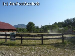 [P02] Manejul de la pensiunea Retezat. » foto by tata123 🔱
 - 
<span class="allrVoted glyphicon glyphicon-heart hidden" id="av1259640"></span>
<a class="m-l-10 hidden" id="sv1259640" onclick="voting_Foto_DelVot(,1259640,20184)" role="button">șterge vot <span class="glyphicon glyphicon-remove"></span></a>
<a id="v91259640" class=" c-red"  onclick="voting_Foto_SetVot(1259640)" role="button"><span class="glyphicon glyphicon-heart-empty"></span> <b>LIKE</b> = Votează poza</a> <img class="hidden"  id="f1259640W9" src="/imagini/loader.gif" border="0" /><span class="AjErrMes hidden" id="e1259640ErM"></span>