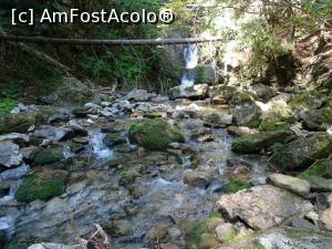 [P08] Se zărește cascada Lazăru. » foto by tata123 🔱
 - 
<span class="allrVoted glyphicon glyphicon-heart hidden" id="av1259646"></span>
<a class="m-l-10 hidden" id="sv1259646" onclick="voting_Foto_DelVot(,1259646,20184)" role="button">șterge vot <span class="glyphicon glyphicon-remove"></span></a>
<a id="v91259646" class=" c-red"  onclick="voting_Foto_SetVot(1259646)" role="button"><span class="glyphicon glyphicon-heart-empty"></span> <b>LIKE</b> = Votează poza</a> <img class="hidden"  id="f1259646W9" src="/imagini/loader.gif" border="0" /><span class="AjErrMes hidden" id="e1259646ErM"></span>