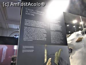[P23] Epoca de fier, calul simbol al statului social » foto by Michi
 - 
<span class="allrVoted glyphicon glyphicon-heart hidden" id="av1372793"></span>
<a class="m-l-10 hidden" id="sv1372793" onclick="voting_Foto_DelVot(,1372793,20188)" role="button">șterge vot <span class="glyphicon glyphicon-remove"></span></a>
<a id="v91372793" class=" c-red"  onclick="voting_Foto_SetVot(1372793)" role="button"><span class="glyphicon glyphicon-heart-empty"></span> <b>LIKE</b> = Votează poza</a> <img class="hidden"  id="f1372793W9" src="/imagini/loader.gif" border="0" /><span class="AjErrMes hidden" id="e1372793ErM"></span>