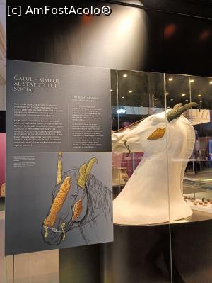 [P04] Tezaurul de la Stâncești - Expoziția „Dacia. Ultima frontieră a romanității”. » foto by tata123 🔱
 - 
<span class="allrVoted glyphicon glyphicon-heart hidden" id="av1347163"></span>
<a class="m-l-10 hidden" id="sv1347163" onclick="voting_Foto_DelVot(,1347163,20188)" role="button">șterge vot <span class="glyphicon glyphicon-remove"></span></a>
<a id="v91347163" class=" c-red"  onclick="voting_Foto_SetVot(1347163)" role="button"><span class="glyphicon glyphicon-heart-empty"></span> <b>LIKE</b> = Votează poza</a> <img class="hidden"  id="f1347163W9" src="/imagini/loader.gif" border="0" /><span class="AjErrMes hidden" id="e1347163ErM"></span>