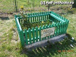 [P10] Casa Memorială Tudor Arghezi - Lăcaşul împrejmuit unde zace pentru vecie Zdreanţă.  » foto by iulianic
 - 
<span class="allrVoted glyphicon glyphicon-heart hidden" id="av502553"></span>
<a class="m-l-10 hidden" id="sv502553" onclick="voting_Foto_DelVot(,502553,20190)" role="button">șterge vot <span class="glyphicon glyphicon-remove"></span></a>
<a id="v9502553" class=" c-red"  onclick="voting_Foto_SetVot(502553)" role="button"><span class="glyphicon glyphicon-heart-empty"></span> <b>LIKE</b> = Votează poza</a> <img class="hidden"  id="f502553W9" src="/imagini/loader.gif" border="0" /><span class="AjErrMes hidden" id="e502553ErM"></span>