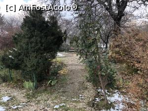 [P16]  -- <small>// FĂRĂ DESCRIERE</small> » foto by Dan&Ema
 - 
<span class="allrVoted glyphicon glyphicon-heart hidden" id="av1207809"></span>
<a class="m-l-10 hidden" id="sv1207809" onclick="voting_Foto_DelVot(,1207809,20190)" role="button">șterge vot <span class="glyphicon glyphicon-remove"></span></a>
<a id="v91207809" class=" c-red"  onclick="voting_Foto_SetVot(1207809)" role="button"><span class="glyphicon glyphicon-heart-empty"></span> <b>LIKE</b> = Votează poza</a> <img class="hidden"  id="f1207809W9" src="/imagini/loader.gif" border="0" /><span class="AjErrMes hidden" id="e1207809ErM"></span>