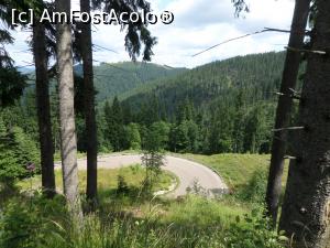 [P16] Transrarăul.  » foto by Safta Radu
 - 
<span class="allrVoted glyphicon glyphicon-heart hidden" id="av1092875"></span>
<a class="m-l-10 hidden" id="sv1092875" onclick="voting_Foto_DelVot(,1092875,20198)" role="button">șterge vot <span class="glyphicon glyphicon-remove"></span></a>
<a id="v91092875" class=" c-red"  onclick="voting_Foto_SetVot(1092875)" role="button"><span class="glyphicon glyphicon-heart-empty"></span> <b>LIKE</b> = Votează poza</a> <img class="hidden"  id="f1092875W9" src="/imagini/loader.gif" border="0" /><span class="AjErrMes hidden" id="e1092875ErM"></span>