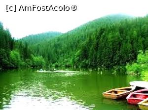 [P07] Lacul Roşu » foto by Michi
 - 
<span class="allrVoted glyphicon glyphicon-heart hidden" id="av1397410"></span>
<a class="m-l-10 hidden" id="sv1397410" onclick="voting_Foto_DelVot(,1397410,20199)" role="button">șterge vot <span class="glyphicon glyphicon-remove"></span></a>
<a id="v91397410" class=" c-red"  onclick="voting_Foto_SetVot(1397410)" role="button"><span class="glyphicon glyphicon-heart-empty"></span> <b>LIKE</b> = Votează poza</a> <img class="hidden"  id="f1397410W9" src="/imagini/loader.gif" border="0" /><span class="AjErrMes hidden" id="e1397410ErM"></span>