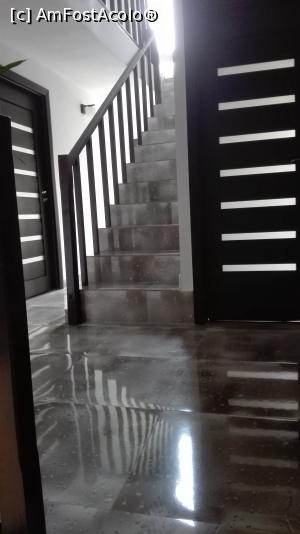 [P08] etajul 1 cu cele 3 camere mai spatioase si scarile care duc la mansarda cu ultimele 2 camere mai mici, fara balcon » foto by iry81
 - 
<span class="allrVoted glyphicon glyphicon-heart hidden" id="av732928"></span>
<a class="m-l-10 hidden" id="sv732928" onclick="voting_Foto_DelVot(,732928,20208)" role="button">șterge vot <span class="glyphicon glyphicon-remove"></span></a>
<a id="v9732928" class=" c-red"  onclick="voting_Foto_SetVot(732928)" role="button"><span class="glyphicon glyphicon-heart-empty"></span> <b>LIKE</b> = Votează poza</a> <img class="hidden"  id="f732928W9" src="/imagini/loader.gif" border="0" /><span class="AjErrMes hidden" id="e732928ErM"></span>