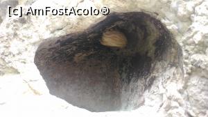 [P07] O excavatie naturala cu o stalagmita.  » foto by Radix7
 - 
<span class="allrVoted glyphicon glyphicon-heart hidden" id="av880135"></span>
<a class="m-l-10 hidden" id="sv880135" onclick="voting_Foto_DelVot(,880135,20212)" role="button">șterge vot <span class="glyphicon glyphicon-remove"></span></a>
<a id="v9880135" class=" c-red"  onclick="voting_Foto_SetVot(880135)" role="button"><span class="glyphicon glyphicon-heart-empty"></span> <b>LIKE</b> = Votează poza</a> <img class="hidden"  id="f880135W9" src="/imagini/loader.gif" border="0" /><span class="AjErrMes hidden" id="e880135ErM"></span>