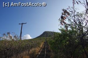 [P01] Urcusul pe Koko Head » foto by Millana
 - 
<span class="allrVoted glyphicon glyphicon-heart hidden" id="av733692"></span>
<a class="m-l-10 hidden" id="sv733692" onclick="voting_Foto_DelVot(,733692,20213)" role="button">șterge vot <span class="glyphicon glyphicon-remove"></span></a>
<a id="v9733692" class=" c-red"  onclick="voting_Foto_SetVot(733692)" role="button"><span class="glyphicon glyphicon-heart-empty"></span> <b>LIKE</b> = Votează poza</a> <img class="hidden"  id="f733692W9" src="/imagini/loader.gif" border="0" /><span class="AjErrMes hidden" id="e733692ErM"></span>