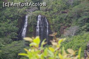 [P05] Kauai, Opaekaa falls » foto by Millana
 - 
<span class="allrVoted glyphicon glyphicon-heart hidden" id="av733696"></span>
<a class="m-l-10 hidden" id="sv733696" onclick="voting_Foto_DelVot(,733696,20213)" role="button">șterge vot <span class="glyphicon glyphicon-remove"></span></a>
<a id="v9733696" class=" c-red"  onclick="voting_Foto_SetVot(733696)" role="button"><span class="glyphicon glyphicon-heart-empty"></span> <b>LIKE</b> = Votează poza</a> <img class="hidden"  id="f733696W9" src="/imagini/loader.gif" border="0" /><span class="AjErrMes hidden" id="e733696ErM"></span>