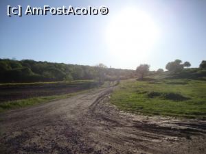 [P03] În apropierea șoselei este zidită o poartă ornamentală sub forma unei arcade, cu o cruce deasupra, poartă pe care este trecută denumirea lăcașului de cult - Mănăstirea Cerbu.  » foto by Floryn81
 - 
<span class="allrVoted glyphicon glyphicon-heart hidden" id="av733447"></span>
<a class="m-l-10 hidden" id="sv733447" onclick="voting_Foto_DelVot(,733447,20214)" role="button">șterge vot <span class="glyphicon glyphicon-remove"></span></a>
<a id="v9733447" class=" c-red"  onclick="voting_Foto_SetVot(733447)" role="button"><span class="glyphicon glyphicon-heart-empty"></span> <b>LIKE</b> = Votează poza</a> <img class="hidden"  id="f733447W9" src="/imagini/loader.gif" border="0" /><span class="AjErrMes hidden" id="e733447ErM"></span>