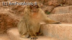 [P17]  -- <small>// FĂRĂ DESCRIERE</small> » foto by DanSta
 - 
<span class="allrVoted glyphicon glyphicon-heart hidden" id="av1481927"></span>
<a class="m-l-10 hidden" id="sv1481927" onclick="voting_Foto_DelVot(,1481927,20218)" role="button">șterge vot <span class="glyphicon glyphicon-remove"></span></a>
<a id="v91481927" class=" c-red"  onclick="voting_Foto_SetVot(1481927)" role="button"><span class="glyphicon glyphicon-heart-empty"></span> <b>LIKE</b> = Votează poza</a> <img class="hidden"  id="f1481927W9" src="/imagini/loader.gif" border="0" /><span class="AjErrMes hidden" id="e1481927ErM"></span>