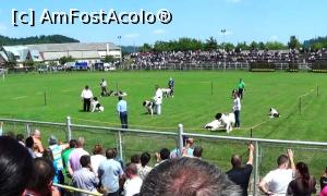 [P01] Stadionul oraşului Gura Humorului unde s-a desfăşurat parada-concurs dedicată în exclusivitate Ciobănescului românesc de Bucovina, câinele reprezentativ pentru această zonă a ţării » foto by Lucien
 - 
<span class="allrVoted glyphicon glyphicon-heart hidden" id="av733752"></span>
<a class="m-l-10 hidden" id="sv733752" onclick="voting_Foto_DelVot(,733752,20222)" role="button">șterge vot <span class="glyphicon glyphicon-remove"></span></a>
<a id="v9733752" class=" c-red"  onclick="voting_Foto_SetVot(733752)" role="button"><span class="glyphicon glyphicon-heart-empty"></span> <b>LIKE</b> = Votează poza</a> <img class="hidden"  id="f733752W9" src="/imagini/loader.gif" border="0" /><span class="AjErrMes hidden" id="e733752ErM"></span>