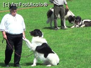 [P17] Dar şi acest câine (câştigător al altor concursuri) a făcut o impresie deosebită, stăpânul şi animalul felicitându-se reciproc » foto by Lucien
 - 
<span class="allrVoted glyphicon glyphicon-heart hidden" id="av733769"></span>
<a class="m-l-10 hidden" id="sv733769" onclick="voting_Foto_DelVot(,733769,20222)" role="button">șterge vot <span class="glyphicon glyphicon-remove"></span></a>
<a id="v9733769" class=" c-red"  onclick="voting_Foto_SetVot(733769)" role="button"><span class="glyphicon glyphicon-heart-empty"></span> <b>LIKE</b> = Votează poza</a> <img class="hidden"  id="f733769W9" src="/imagini/loader.gif" border="0" /><span class="AjErrMes hidden" id="e733769ErM"></span>