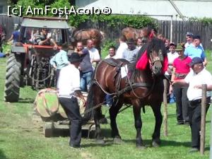 [P05] Sanciul încarcat cu cei 3 buşteni, fiind foarte greu, nu poate fi tras dintr-o dată, fără pauze. Uneori/deseori şi punerea în mişcare este o treabă grea.  » foto by Lucien
 - 
<span class="allrVoted glyphicon glyphicon-heart hidden" id="av734118"></span>
<a class="m-l-10 hidden" id="sv734118" onclick="voting_Foto_DelVot(,734118,20222)" role="button">șterge vot <span class="glyphicon glyphicon-remove"></span></a>
<a id="v9734118" class=" c-red"  onclick="voting_Foto_SetVot(734118)" role="button"><span class="glyphicon glyphicon-heart-empty"></span> <b>LIKE</b> = Votează poza</a> <img class="hidden"  id="f734118W9" src="/imagini/loader.gif" border="0" /><span class="AjErrMes hidden" id="e734118ErM"></span>