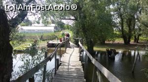 [P33] Străbatem podețul înapoi către mal. Mai sunt și alți doritori, așa că este momentul să-i lăsăm și pe ei să se bucure de frumusețea naturală a zonei.  » foto by Floryn81
 - 
<span class="allrVoted glyphicon glyphicon-heart hidden" id="av734188"></span>
<a class="m-l-10 hidden" id="sv734188" onclick="voting_Foto_DelVot(,734188,20230)" role="button">șterge vot <span class="glyphicon glyphicon-remove"></span></a>
<a id="v9734188" class=" c-red"  onclick="voting_Foto_SetVot(734188)" role="button"><span class="glyphicon glyphicon-heart-empty"></span> <b>LIKE</b> = Votează poza</a> <img class="hidden"  id="f734188W9" src="/imagini/loader.gif" border="0" /><span class="AjErrMes hidden" id="e734188ErM"></span>