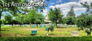 [P20] Stupina mănăstirii. » foto by tata123 🔱
 - 
<span class="allrVoted glyphicon glyphicon-heart hidden" id="av1486161"></span>
<a class="m-l-10 hidden" id="sv1486161" onclick="voting_Foto_DelVot(,1486161,20230)" role="button">șterge vot <span class="glyphicon glyphicon-remove"></span></a>
<a id="v91486161" class=" c-red"  onclick="voting_Foto_SetVot(1486161)" role="button"><span class="glyphicon glyphicon-heart-empty"></span> <b>LIKE</b> = Votează poza</a> <img class="hidden"  id="f1486161W9" src="/imagini/loader.gif" border="0" /><span class="AjErrMes hidden" id="e1486161ErM"></span>