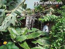 [P29] Cascada...  » foto by balasa violeta
 - 
<span class="allrVoted glyphicon glyphicon-heart hidden" id="av372757"></span>
<a class="m-l-10 hidden" id="sv372757" onclick="voting_Foto_DelVot(,372757,20234)" role="button">șterge vot <span class="glyphicon glyphicon-remove"></span></a>
<a id="v9372757" class=" c-red"  onclick="voting_Foto_SetVot(372757)" role="button"><span class="glyphicon glyphicon-heart-empty"></span> <b>LIKE</b> = Votează poza</a> <img class="hidden"  id="f372757W9" src="/imagini/loader.gif" border="0" /><span class="AjErrMes hidden" id="e372757ErM"></span>