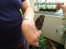 [P32] Erau frumosi!  » foto by balasa violeta
 - 
<span class="allrVoted glyphicon glyphicon-heart hidden" id="av372760"></span>
<a class="m-l-10 hidden" id="sv372760" onclick="voting_Foto_DelVot(,372760,20234)" role="button">șterge vot <span class="glyphicon glyphicon-remove"></span></a>
<a id="v9372760" class=" c-red"  onclick="voting_Foto_SetVot(372760)" role="button"><span class="glyphicon glyphicon-heart-empty"></span> <b>LIKE</b> = Votează poza</a> <img class="hidden"  id="f372760W9" src="/imagini/loader.gif" border="0" /><span class="AjErrMes hidden" id="e372760ErM"></span>