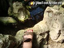 [P44] Scuturam piciorul si tot nu pleca!  » foto by balasa violeta
 - 
<span class="allrVoted glyphicon glyphicon-heart hidden" id="av372772"></span>
<a class="m-l-10 hidden" id="sv372772" onclick="voting_Foto_DelVot(,372772,20234)" role="button">șterge vot <span class="glyphicon glyphicon-remove"></span></a>
<a id="v9372772" class=" c-red"  onclick="voting_Foto_SetVot(372772)" role="button"><span class="glyphicon glyphicon-heart-empty"></span> <b>LIKE</b> = Votează poza</a> <img class="hidden"  id="f372772W9" src="/imagini/loader.gif" border="0" /><span class="AjErrMes hidden" id="e372772ErM"></span>