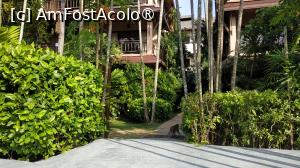 [P23] Railay Princesse Resort and Spa » foto by elenaadina
 - 
<span class="allrVoted glyphicon glyphicon-heart hidden" id="av1424899"></span>
<a class="m-l-10 hidden" id="sv1424899" onclick="voting_Foto_DelVot(,1424899,20247)" role="button">șterge vot <span class="glyphicon glyphicon-remove"></span></a>
<a id="v91424899" class=" c-red"  onclick="voting_Foto_SetVot(1424899)" role="button"><span class="glyphicon glyphicon-heart-empty"></span> <b>LIKE</b> = Votează poza</a> <img class="hidden"  id="f1424899W9" src="/imagini/loader.gif" border="0" /><span class="AjErrMes hidden" id="e1424899ErM"></span>